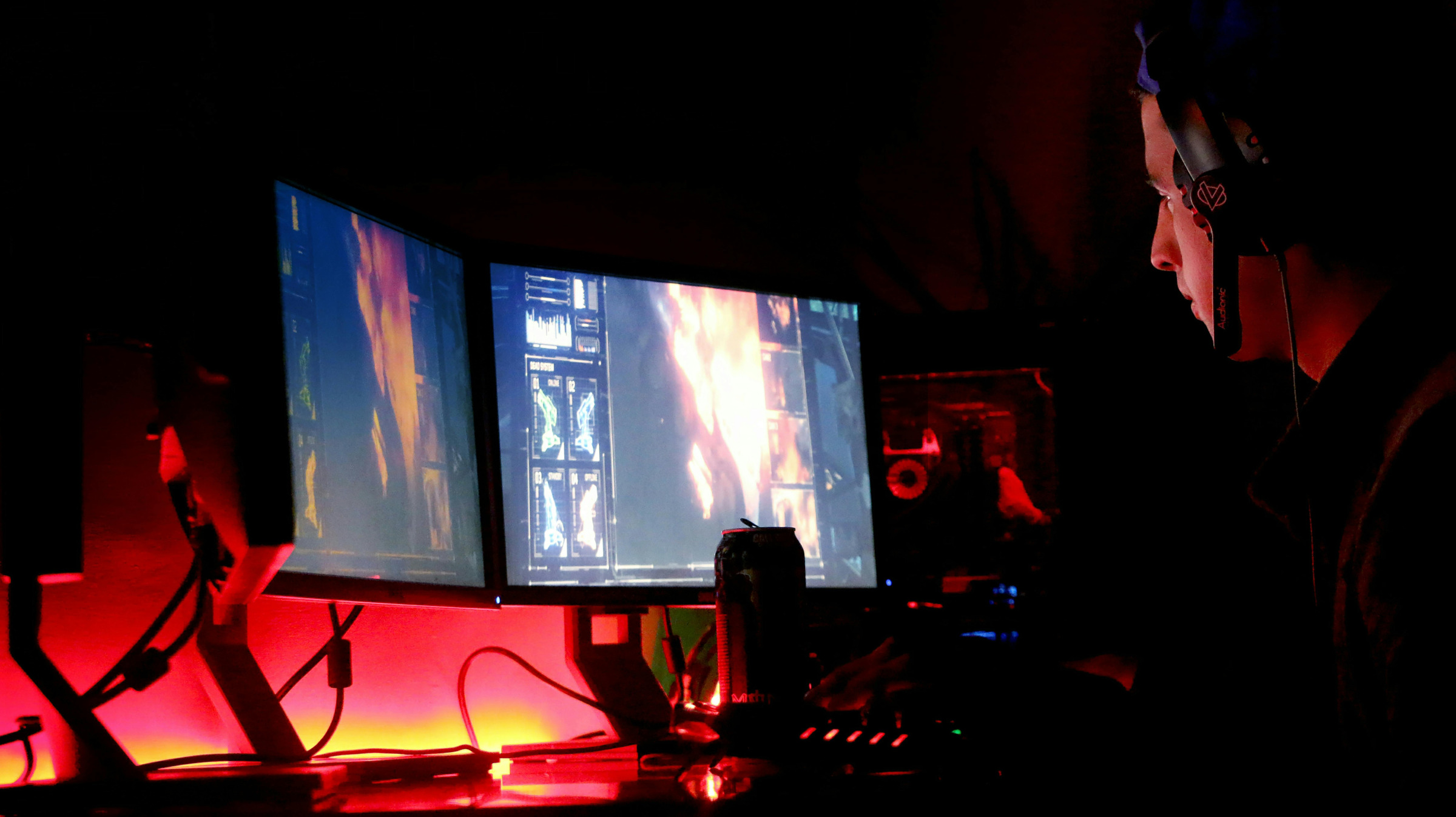 pexels-sulimansallehi-758532